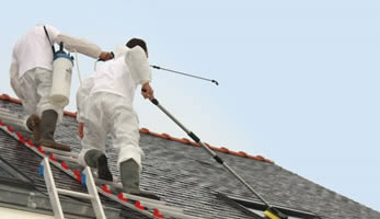 Nettoyage et entretien toiture